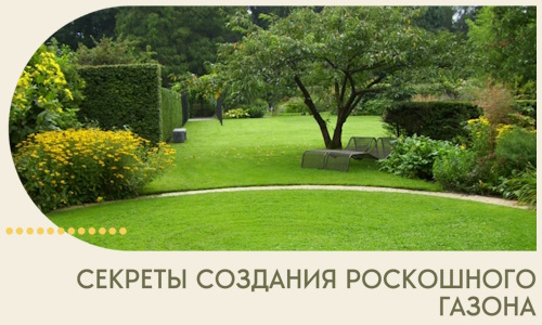 Секреты создания роскошного газона в Малоярославце